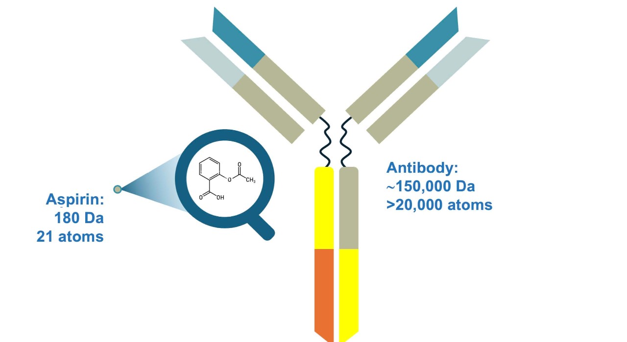 Aspirin and antibody