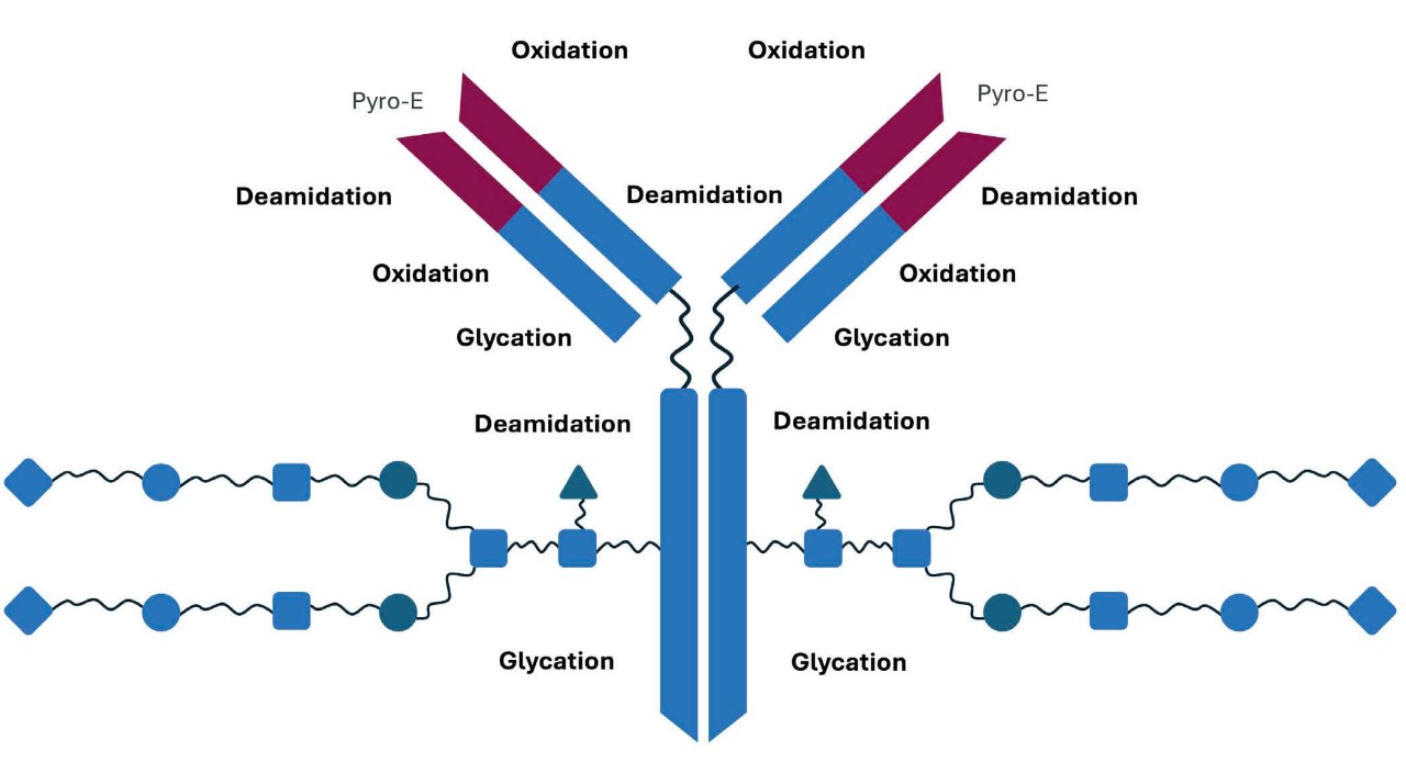 Oxidation graph