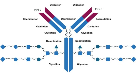 Oxidation graph