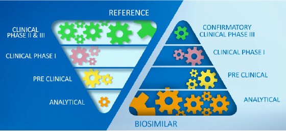 Emphasis on analytical characterization in biosimilar development